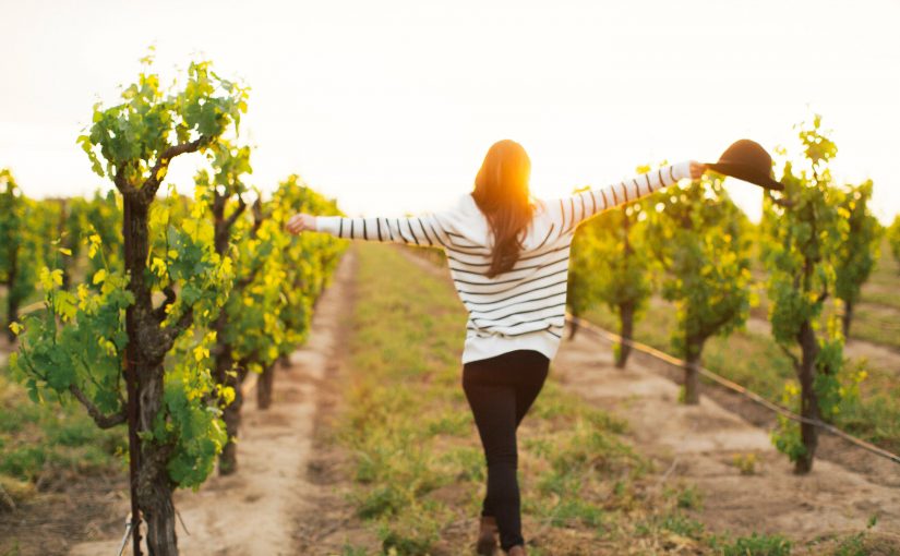 5 rutas de vino ideales para explorar durante las vacaciones